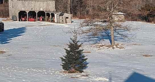refuge.jpg